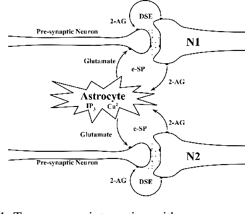 Figure 1 for Astromorphic Self-Repair of Neuromorphic Hardware Systems