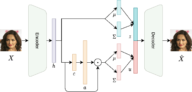 Figure 3 for Semi-Supervised Disentanglement of Class-Related and Class-Independent Factors in VAE
