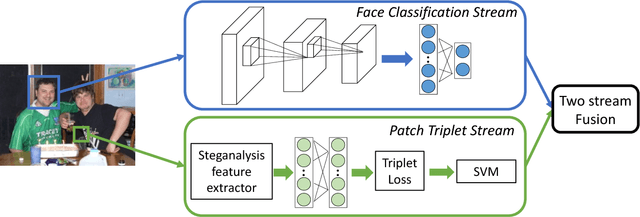 Figure 3 for Two-Stream Neural Networks for Tampered Face Detection