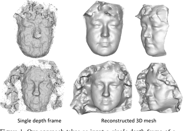 Figure 1 for 3D Face Hallucination from a Single Depth Frame