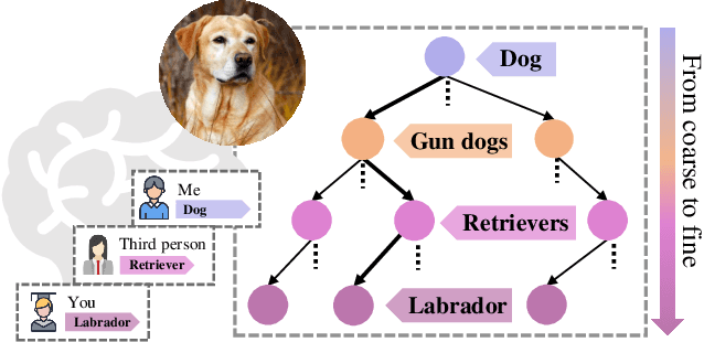 Figure 1 for Your "Labrador" is My "Dog": Fine-Grained, or Not
