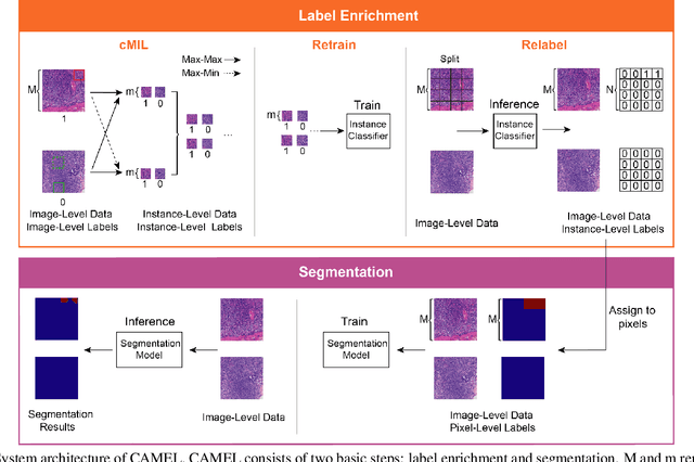 Figure 1 for CAMEL: A Weakly Supervised Learning Framework for Histopathology Image Segmentation