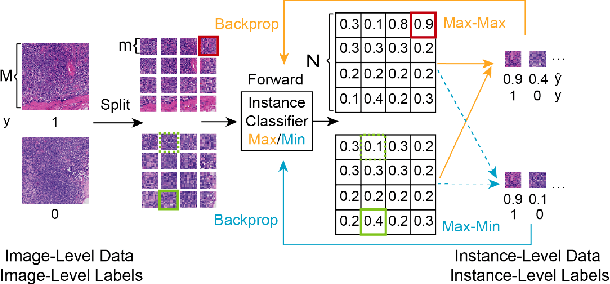 Figure 3 for CAMEL: A Weakly Supervised Learning Framework for Histopathology Image Segmentation