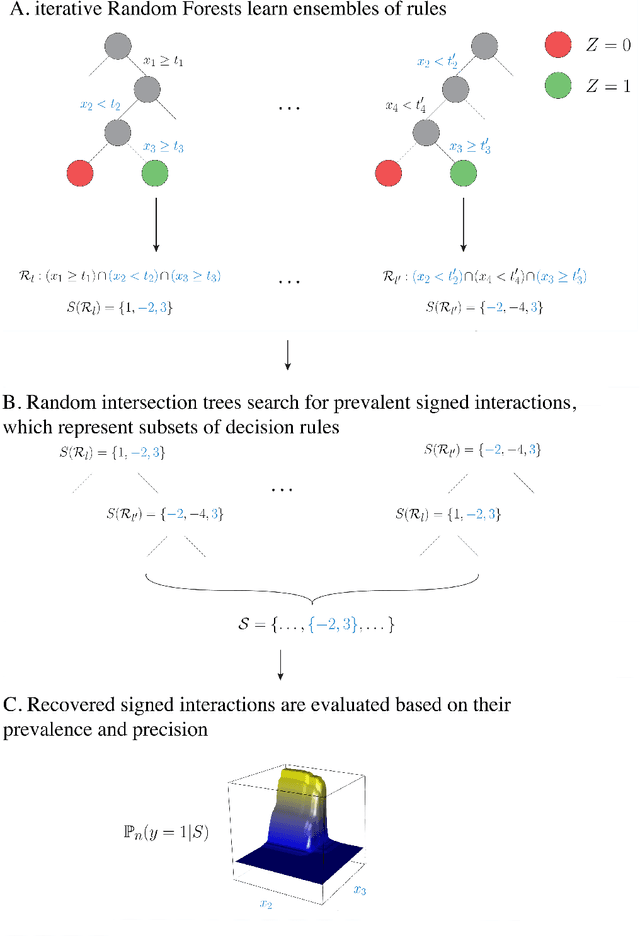 Figure 3 for Refining interaction search through signed iterative Random Forests