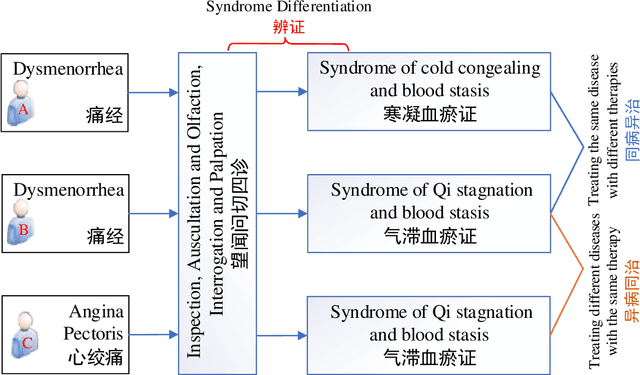 Figure 1 for TCM-SD: A Large Dataset for Syndrome Differentiation in Traditional Chinese Medicine