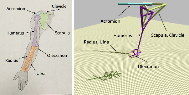 Figure 3 for A Bio-Inspired Tensegrity Manipulator with Multi-DOF, Structurally Compliant Joints
