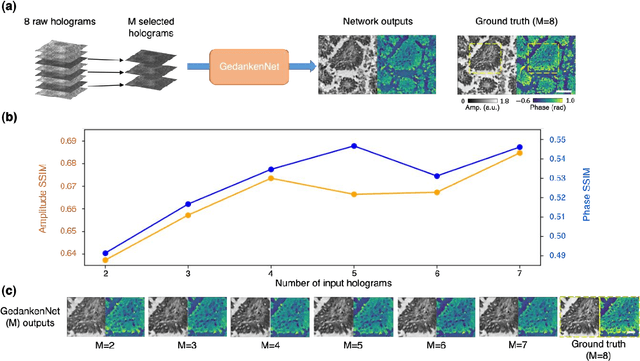 Figure 2 for GedankenNet: Self-supervised learning of hologram reconstruction using physics consistency