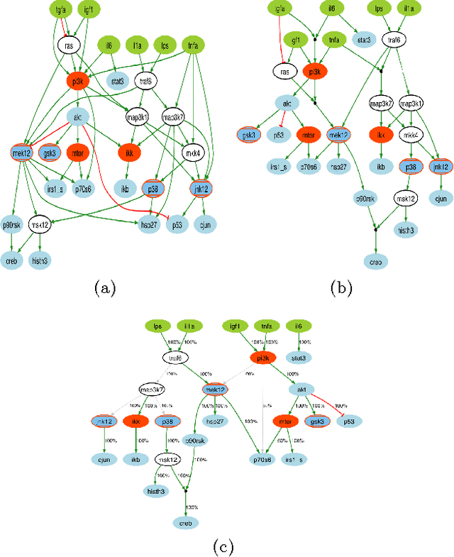 Figure 4 for Revisiting the Training of Logic Models of Protein Signaling Networks with a Formal Approach based on Answer Set Programming