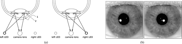 Figure 1 for Iris Presentation Attack Detection Based on Photometric Stereo Features