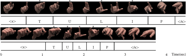 Figure 1 for Signer-independent Fingerspelling Recognition with Deep Neural Network Adaptation