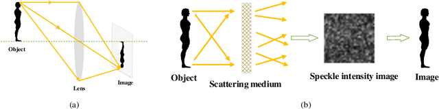 Figure 1 for Transfer Learning in General Lensless Imaging through Scattering Media
