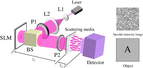 Figure 2 for Transfer Learning in General Lensless Imaging through Scattering Media