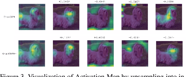 Figure 4 for Score-CAM:Improved Visual Explanations Via Score-Weighted Class Activation Mapping