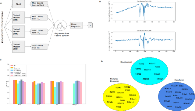 Figure 3 for Neural network facilitated ab initio derivation of linear formula: A case study on formulating the relationship between DNA motifs and gene expression