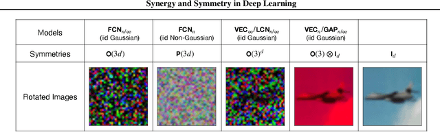 Figure 1 for Synergy and Symmetry in Deep Learning: Interactions between the Data, Model, and Inference Algorithm