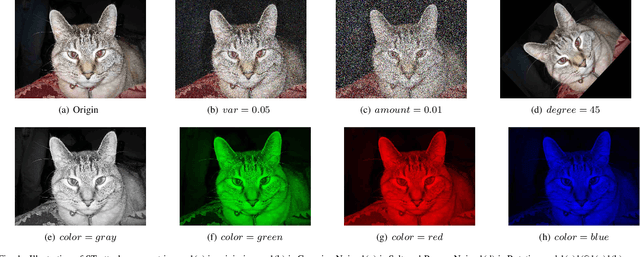 Figure 1 for Transferability of Adversarial Examples to Attack Cloud-based Image Classifier Service