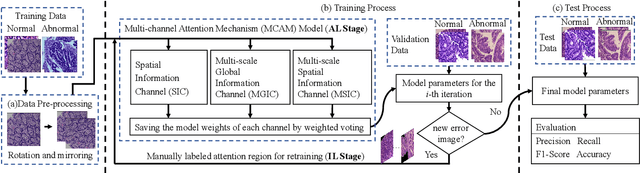 Figure 1 for IL-MCAM: An interactive learning and multi-channel attention mechanism-based weakly supervised colorectal histopathology image classification approach