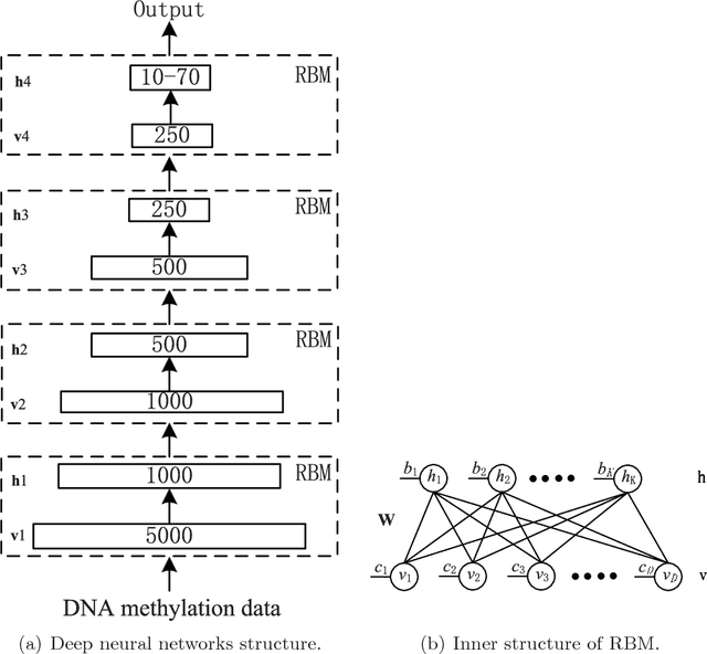 Figure 1 for Deep Neural Network for Analysis of DNA Methylation Data