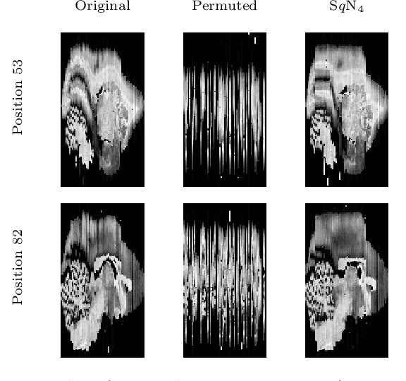 Figure 3 for Variational Registration of Multiple Images with the SVD based SqN Distance Measure