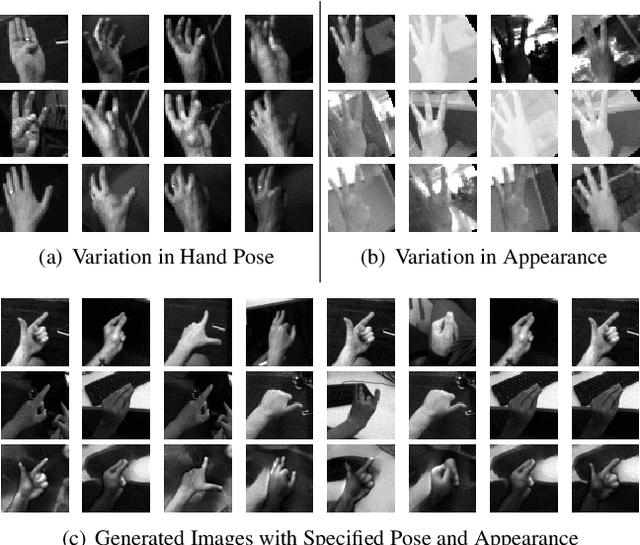 Figure 1 for Disentangling Pose from Appearance in Monochrome Hand Images