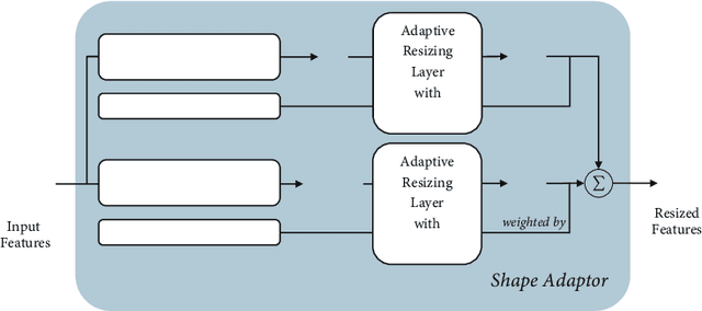Figure 1 for Shape Adaptor: A Learnable Resizing Module