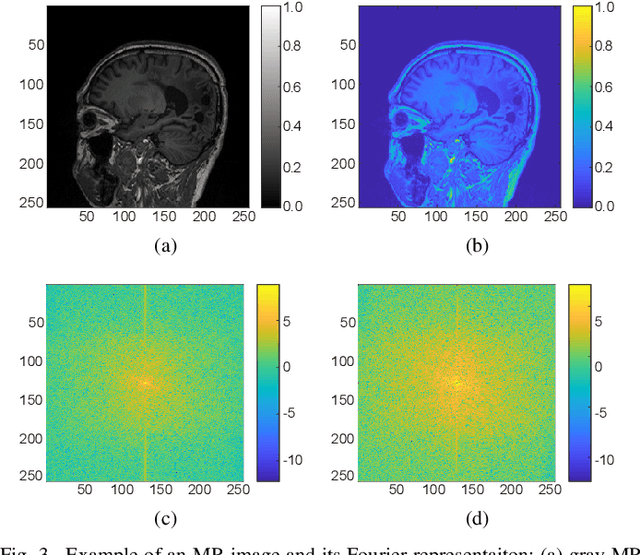 Figure 3 for Deep Learning Guided Undersampling Mask Design for MR Image Reconstruction