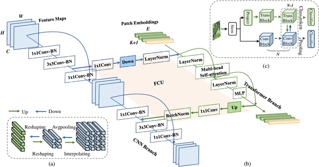 Figure 2 for Conformer: Local Features Coupling Global Representations for Visual Recognition