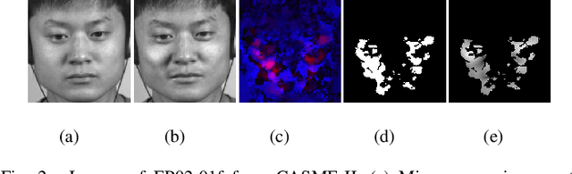 Figure 2 for A Multi-stream Convolutional Neural Network for Micro-expression Recognition Using Optical Flow and EVM