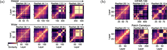 Figure 1 for On the Origins of the Block Structure Phenomenon in Neural Network Representations