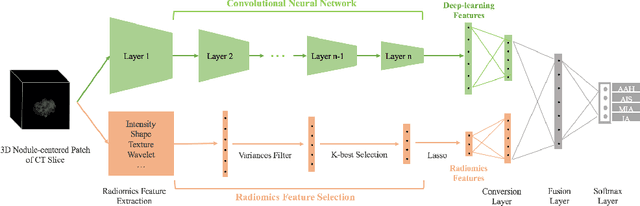 Figure 1 for Invasiveness Prediction of Pulmonary Adenocarcinomas Using Deep Feature Fusion Networks