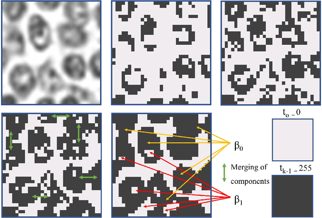 Figure 3 for Fast and Accurate Tumor Segmentation of Histology Images using Persistent Homology and Deep Convolutional Features