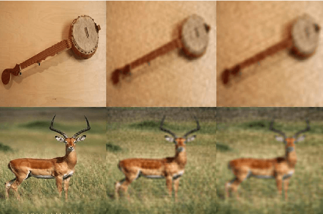 Figure 3 for Distortion Robust Image Classification using Deep Convolutional Neural Network with Discrete Cosine Transform