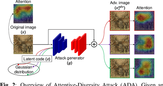Figure 3 for Diverse Generative Adversarial Perturbations on Attention Space for Transferable Adversarial Attacks