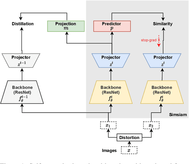 Figure 1 for Continually Learning Self-Supervised Representations with Projected Functional Regularization