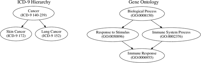 Figure 1 for Using Ontologies To Improve Performance In Massively Multi-label Prediction Models
