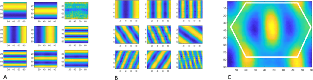 Figure 3 for A computational model for grid maps in neural populations