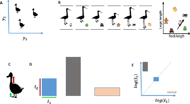 Figure 4 for A computational model for grid maps in neural populations