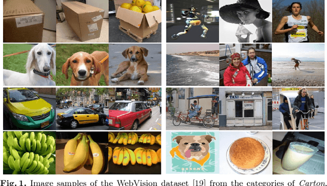 Figure 1 for CurriculumNet: Weakly Supervised Learning from Large-Scale Web Images