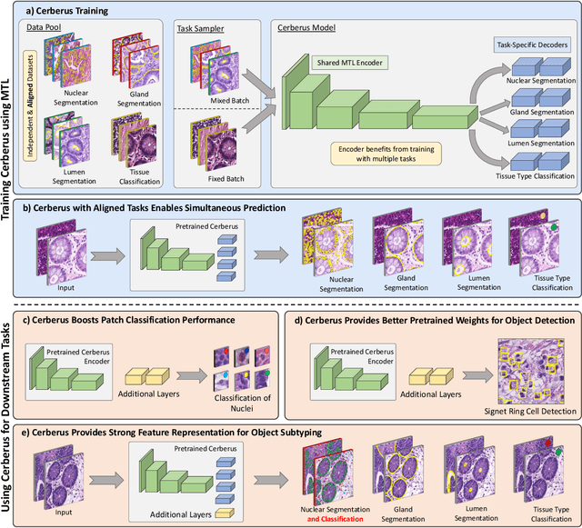 Figure 3 for One Model is All You Need: Multi-Task Learning Enables Simultaneous Histology Image Segmentation and Classification