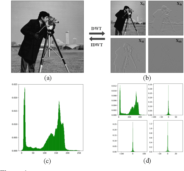 Figure 1 for MWQ: Multiscale Wavelet Quantized Neural Networks