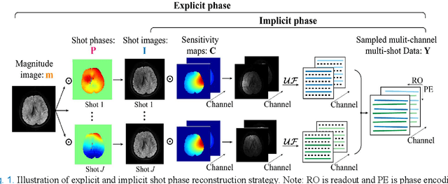 Figure 1 for A Paired Phase and Magnitude Reconstruction for Advanced Diffusion-Weighted Imaging