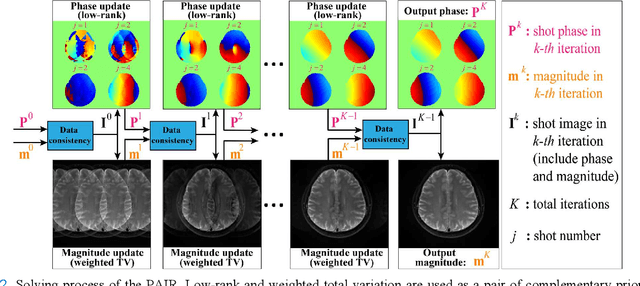 Figure 2 for A Paired Phase and Magnitude Reconstruction for Advanced Diffusion-Weighted Imaging