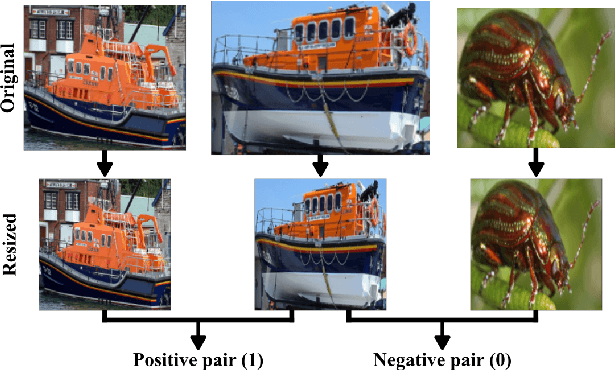 Figure 4 for Pattern Spotting and Image Retrieval in Historical Documents using Deep Hashing