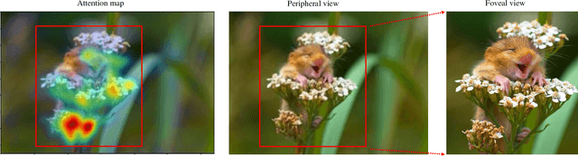 Figure 1 for A Gated Peripheral-Foveal Convolutional Neural Network for Unified Image Aesthetic Prediction