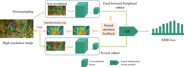 Figure 2 for A Gated Peripheral-Foveal Convolutional Neural Network for Unified Image Aesthetic Prediction