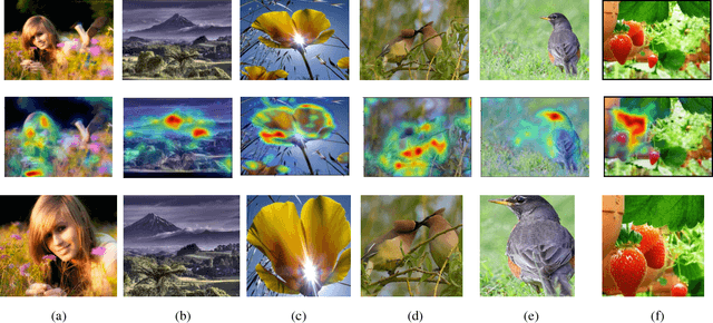 Figure 4 for A Gated Peripheral-Foveal Convolutional Neural Network for Unified Image Aesthetic Prediction