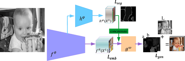 Figure 3 for Pixelated Semantic Colorization