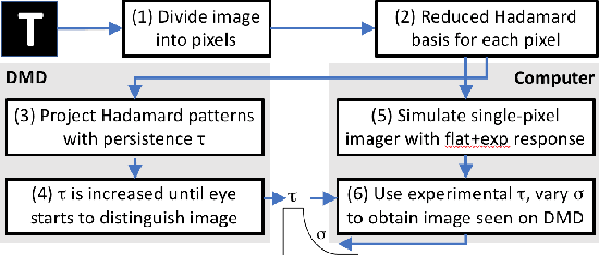 Figure 3 for Ghost imaging with the human eye
