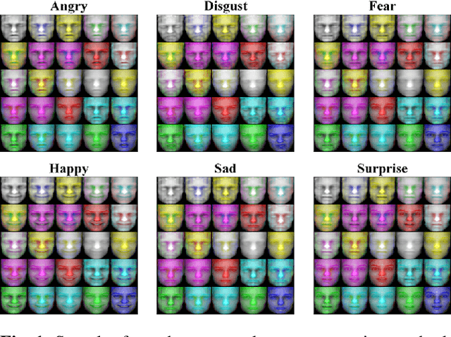 Figure 1 for Sparsity-Aware Deep Learning for Automatic 4D Facial Expression Recognition