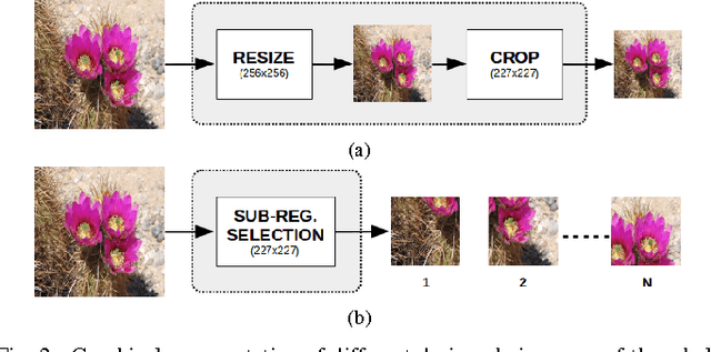 Figure 2 for On the Use of Deep Learning for Blind Image Quality Assessment